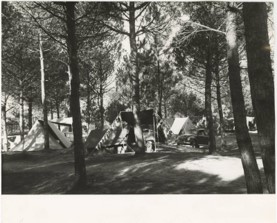 Campeggio a Marina di Ravenna (1952)